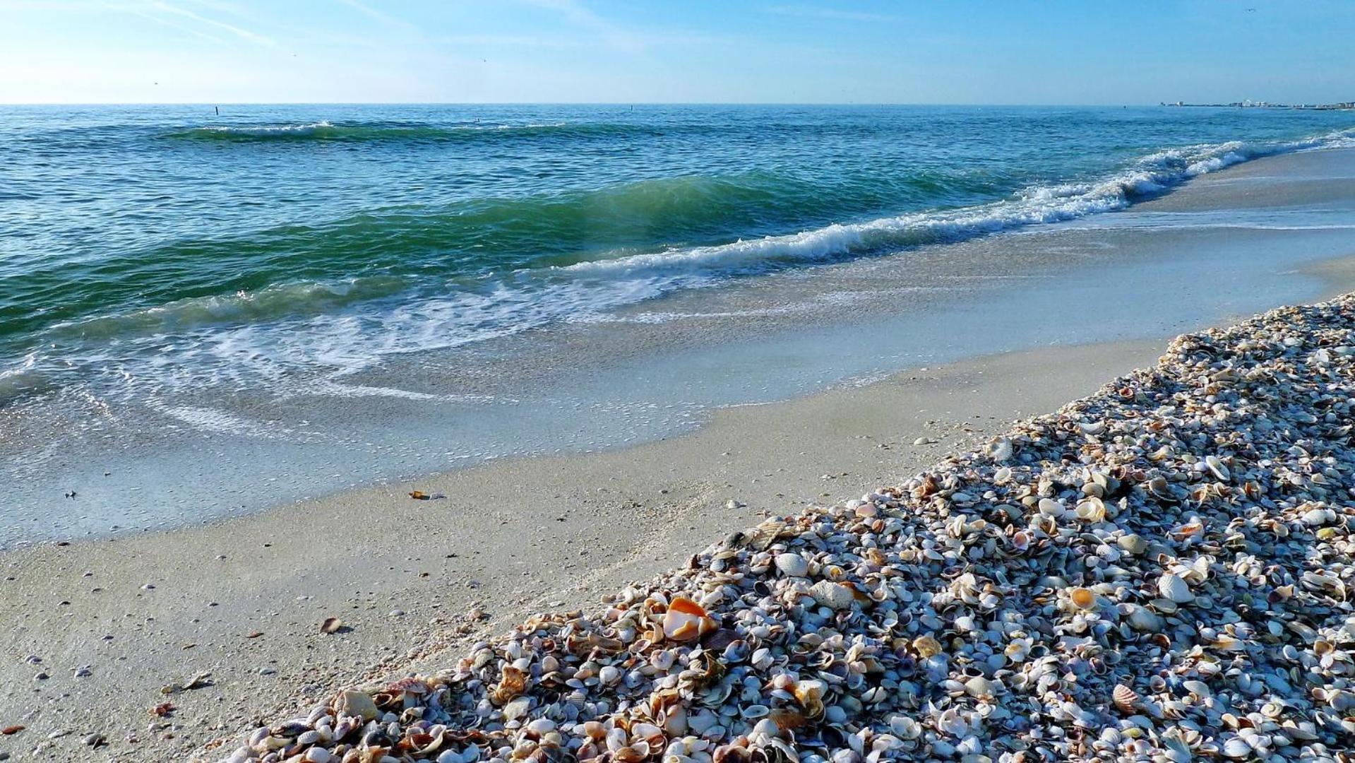Sand Castle1 804 Clearwater Beach Exterior foto